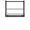 Model INV-L-5050 Painting Lowering Mechanism - Auton Motorized Systems